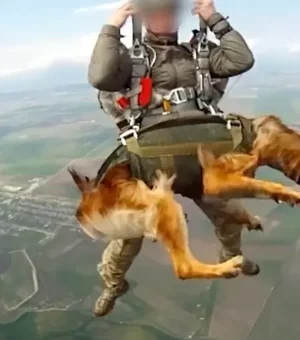 Exército de Putin treina cães paraquedistas e faz saltos de 4 mil metros