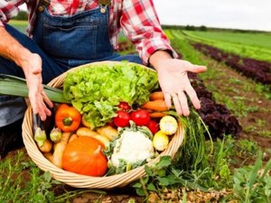 Agricultores de Penedo são orientados para vender ao poder público