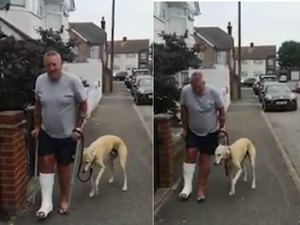 Cachorro manca para imitar tutor engessado e viraliza