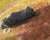 Polícia impede furto de estátua do escritor Jorge de Lima na Praça Sinimbú