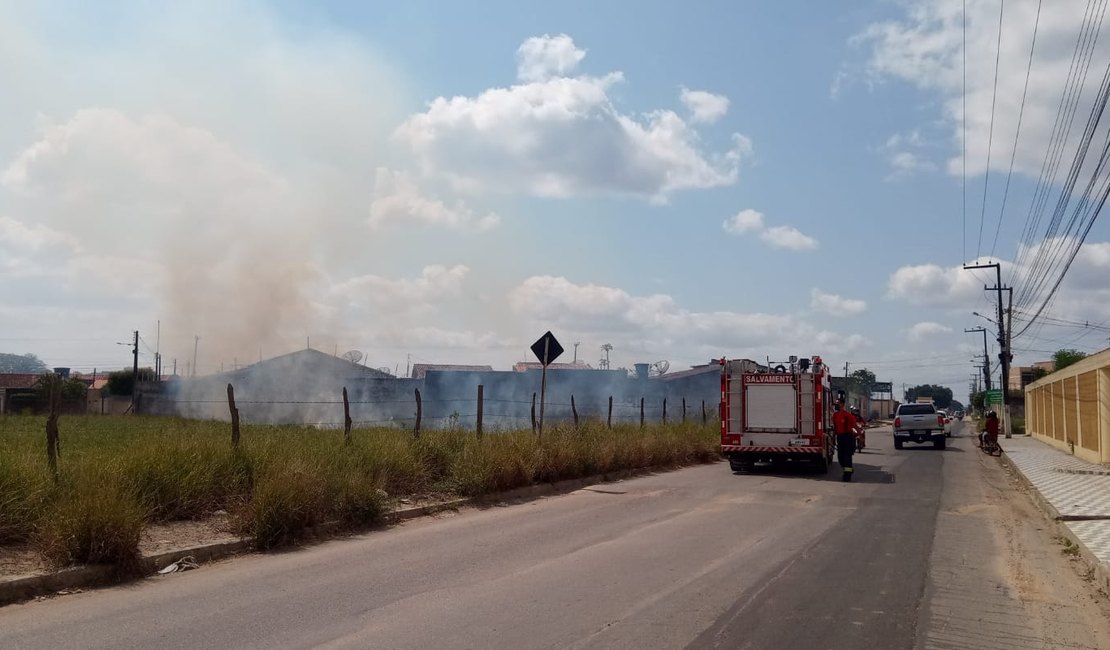 [Vídeo]Bombeiros controlam incêndio em vegetação na cidade de Arapiraca