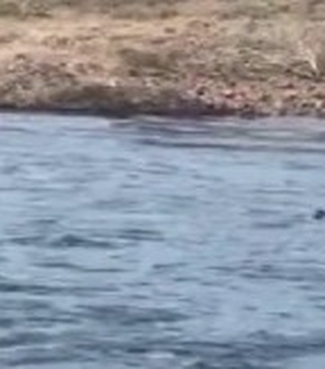 [Vídeo] Homem é resgatado de afogamento no Rio São Franscico
