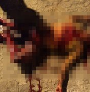 Morador de rua é assassinado a facadas em Arapiraca