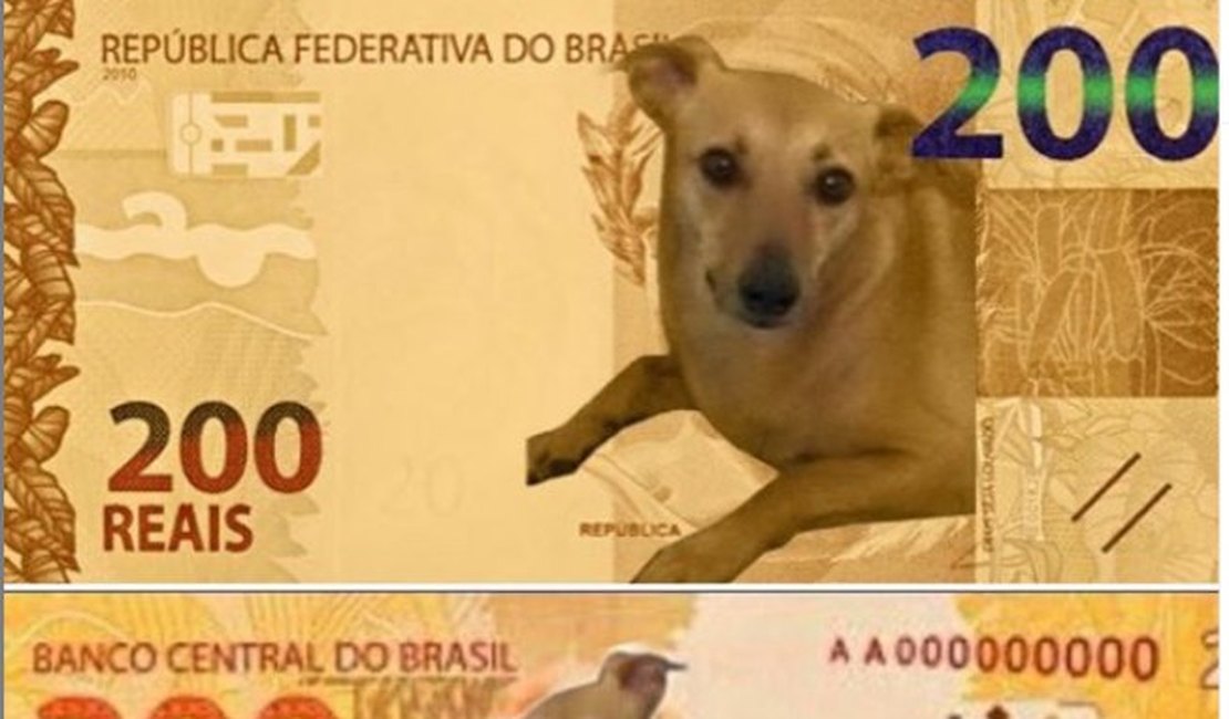 Deputado faz campanha para vira-lata caramelo estampar nota de R$ 200