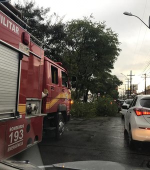 Vazamento de gás assusta funcionários de hospital em Maceió