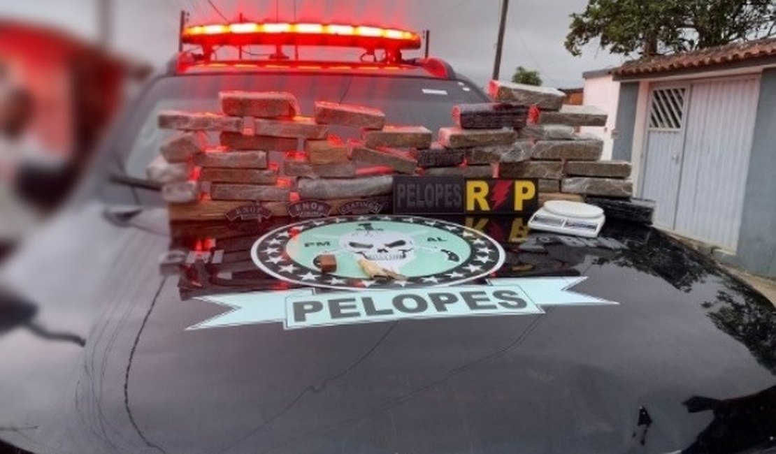 Dois suspeitos são presos ao transportarem drogas do Mato Grosso para Alagoas