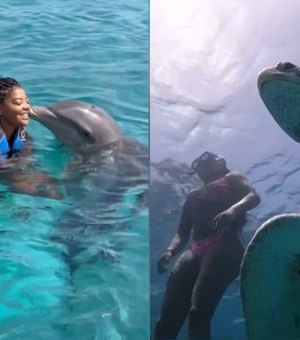 Ludmilla nada com golfinhos e tartarugas em Curaçao