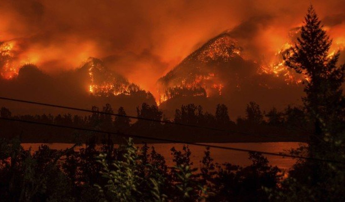 Jovem que lançou fogos e provocou incêndio florestal nos EUA é multado em R$ 137 mi