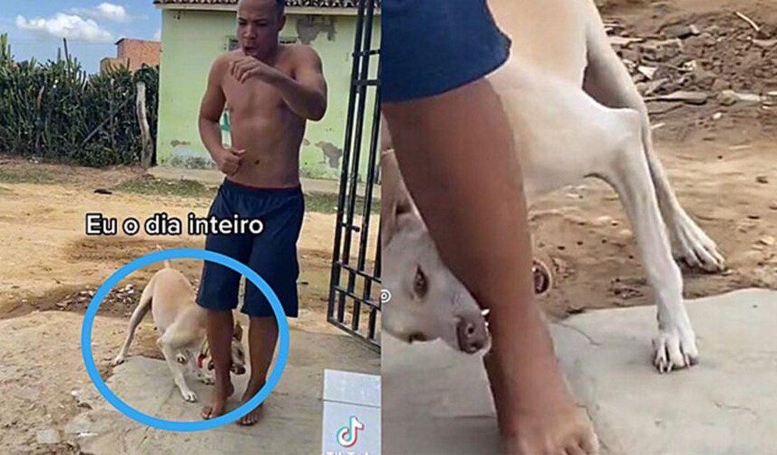 Vídeo: homem é mordido por cachorro ao dançar 'Late Coração'