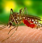 Infectologista esclarece diferenças entre Zika e alergias