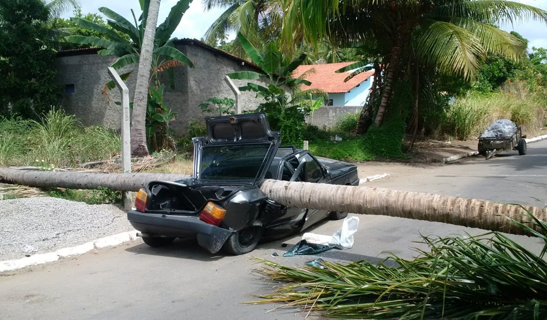 Queda de coqueiro deixa  carro destruído em Porto de Pedras