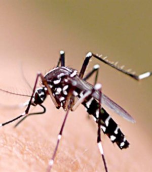 Maceió registra aumento de 31,5% nos casos de dengue em 2019