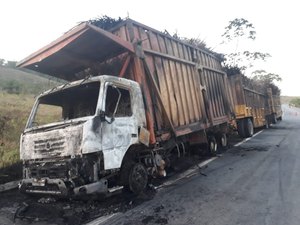 Caminhão carregado de cana-de-açúcar pega fogo na BR-104
