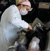Neafa realiza mutirão para castração de cães e gatos neste sábado (08)