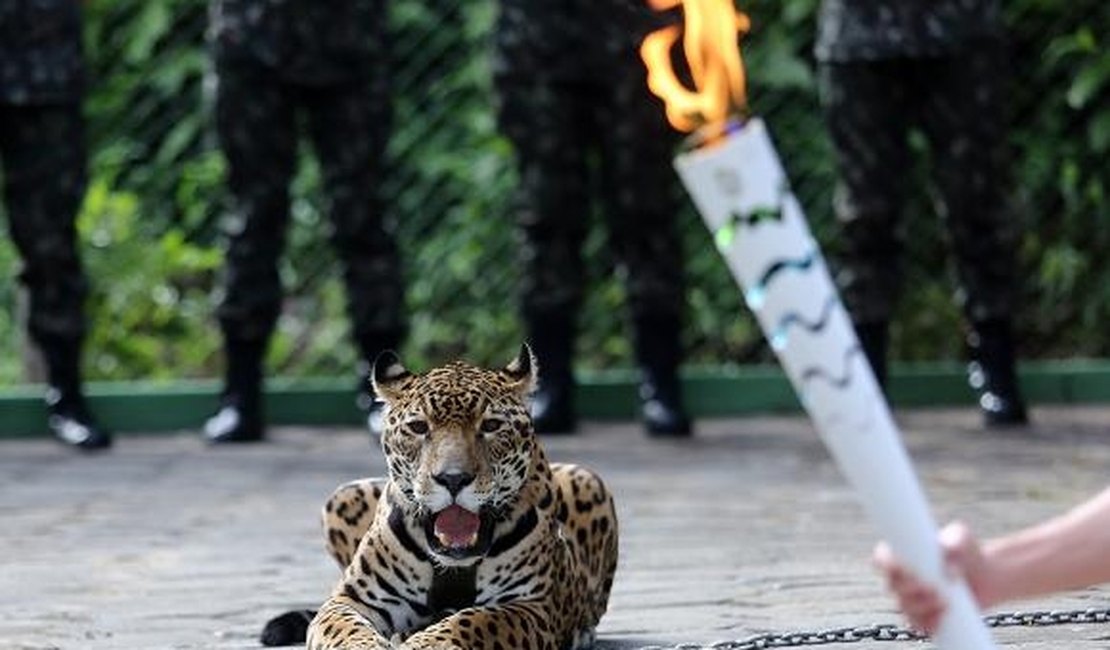 Exército assina termo de ajustamento de conduta para uso de animais em eventos