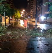 Chuva forte derruba árvore no bairro da Ponta Verde, em Maceió