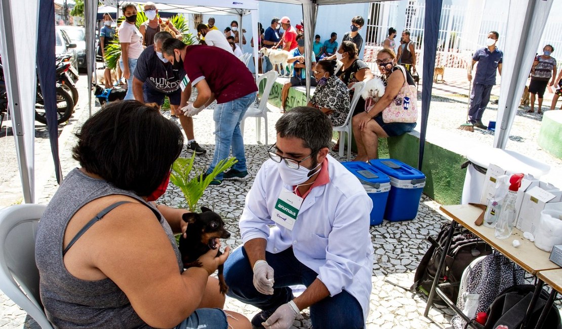Campanha realiza mais de 700 atendimentos veterinários nos bairros de Bebedouro e Pinheiro