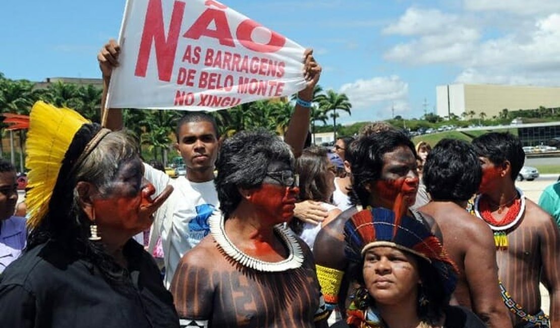 Após governo enfraquecer Funai, terra indígena é invadida por madeireiros no Pará