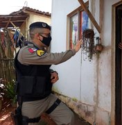 Policiais militares promovem doação de cestas básicas em Joaquim Gomes