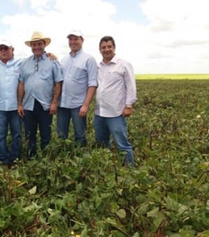 Alagoas ganha área para produção de sementes de feijão, milho e sorgo