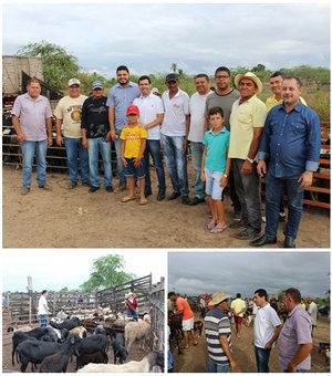 Prefeitura de Craíbas irá reformar curral de ovinos e caprinos do Distrito Folha Miúda