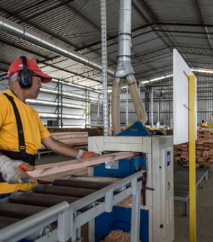 Governo estima que mais de 30 empresas se instalem em Alagoas em dois anos