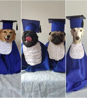 Cães ganham 'formatura' especial com beca, diploma e boletim em creche de MS; veja fotos