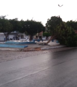 Chuva forte e ventania provocam estragos em cidade do Alto Sertão