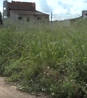 [Vídeo] Bairro de Arapiraca está tomado por matagal