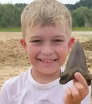 EUA: Menino de 8 anos acha dente de 12 cm de tubarão gigante pré-histórico