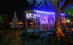 Coral, teatro, dança e desfile de Papai Noel no final de semana do Natal Luz no Interior