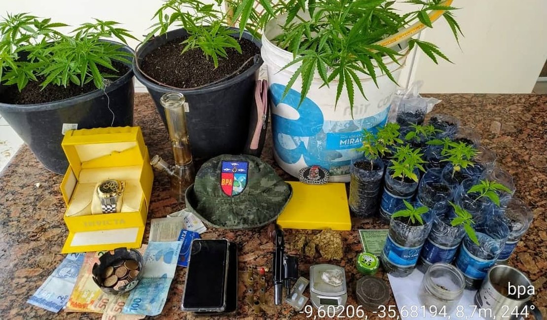 Homem é preso com pés de maconha e arma de fogo em Jacarecica