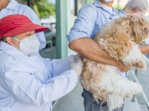Prefeitura de Maceió criou secretaria para cuidar do Bem-Estar Animal