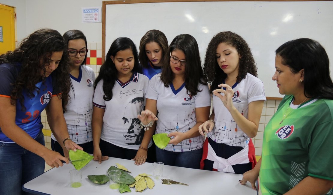 Revista eletrônica da Seduc vai divulgar trabalhos e publicações científicas de educadores de Alagoas