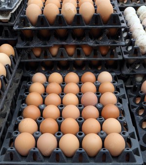 Nos últimos seis meses preço do ovo subiu 20% nos supermercados de Maceió