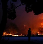 [Vídeo] Sobe o número de mortos nos incêndios florestais na Grécia