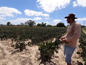 Emater Alagoas emitiu 16 mil DAPs aos agricultores familiares em 2020