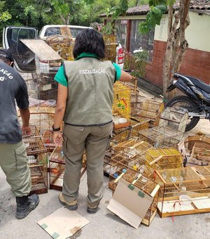 Operação desarticula tráfico de animais silvestres no interior do Estado