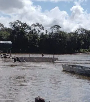 Base federal instalada em território Yanomami é alvo de atentado em Roraima