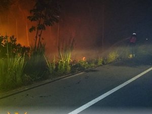 Incêndio atinge área perto de resort de luxo em Maragogi