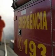 Princípio de incêndio atinge serraria de fabricar móveis em Arapiraca