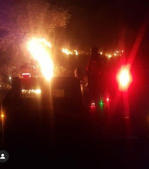 Bombeiros apagam incêndio perto de rede elétrica em Maragogi