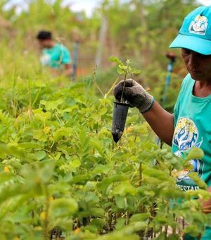 Alagoas teve o menor índice de sindicalização do país em 2019