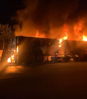 Caminhão bitrem carregado de tapetes pega fogo na BR-101, em Flexeiras