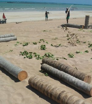 MP pede abertura de inquérito policial para investigar crime ambiental na Praia do Marceneiro