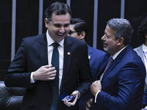 Lira garante domínio do governo na Câmara, mas Senado é o mais forte reduto do Bolsonarismo