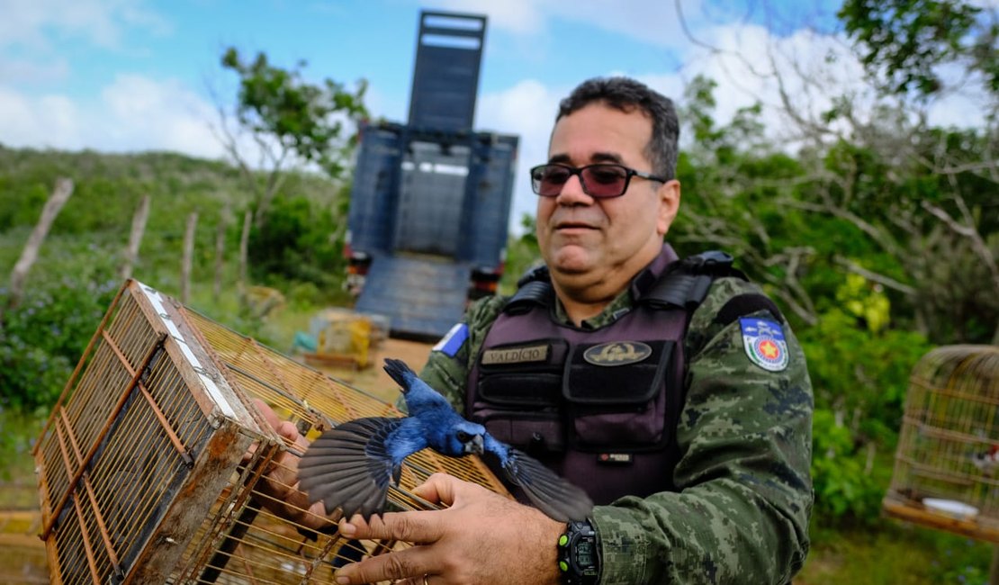 FPI do São Francisco devolve à natureza animais que estavam em cativeiros