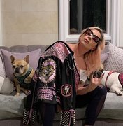 Cachorros de Lady Gaga são roubados durante passeio com 'dog walker'; rapaz foi baleado durante ação