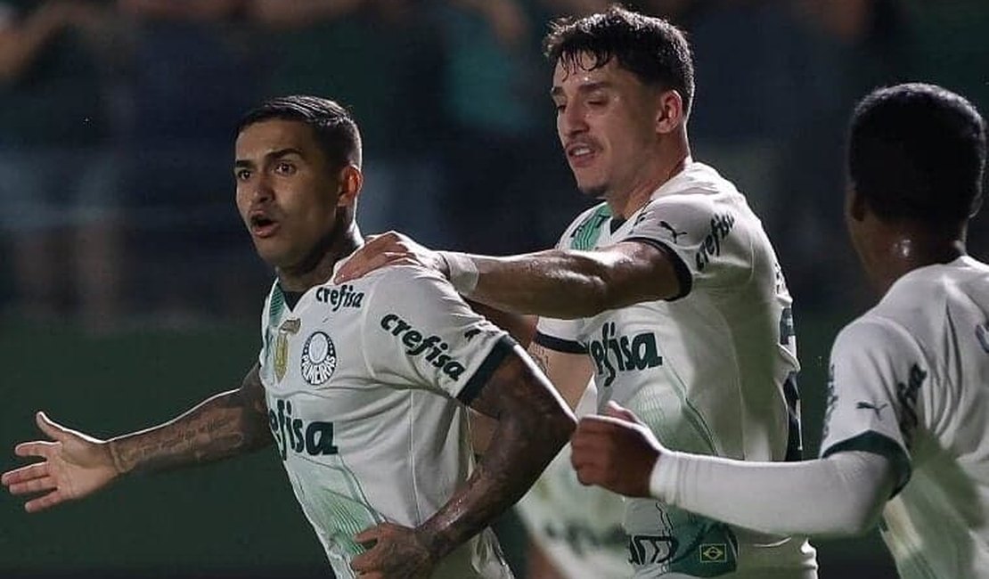Dudu desfalca o Palmeiras mais uma vez e deve voltar apenas na Libertadores