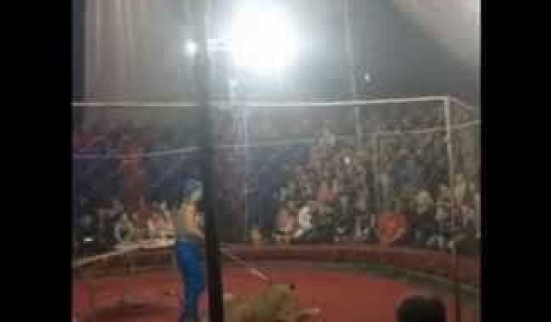 Leoa ataca criança de 3 anos durante espetáculo de circo na Rússia